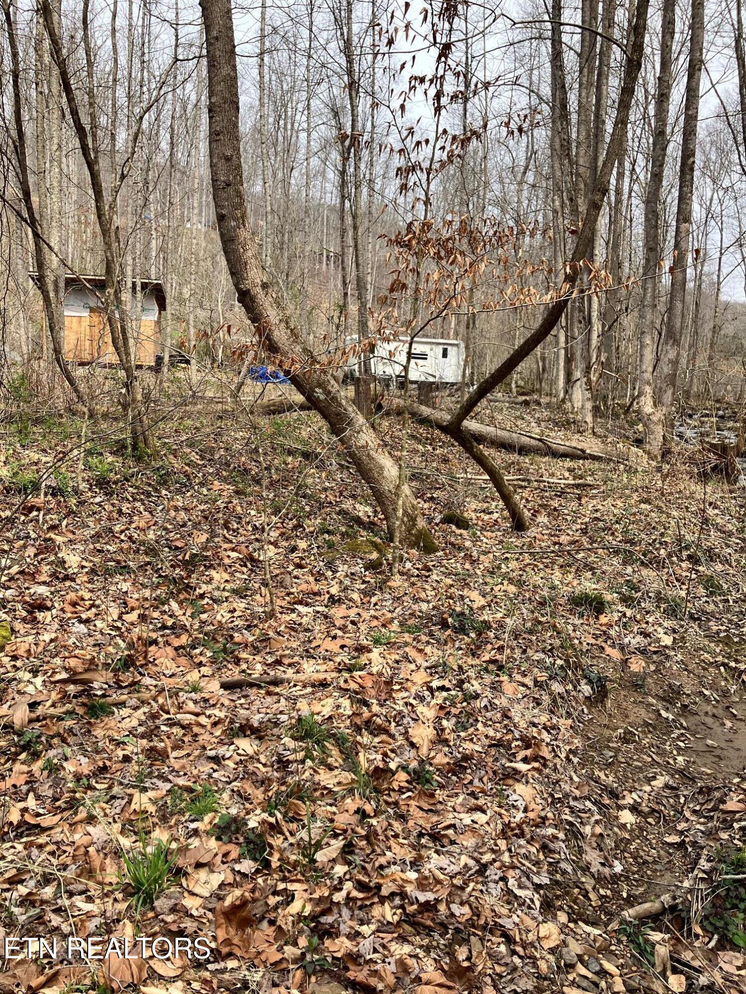 4913 Snake Hollow Road Sneedville, TN 37869 - Photo 9 of 9 IMG_5353