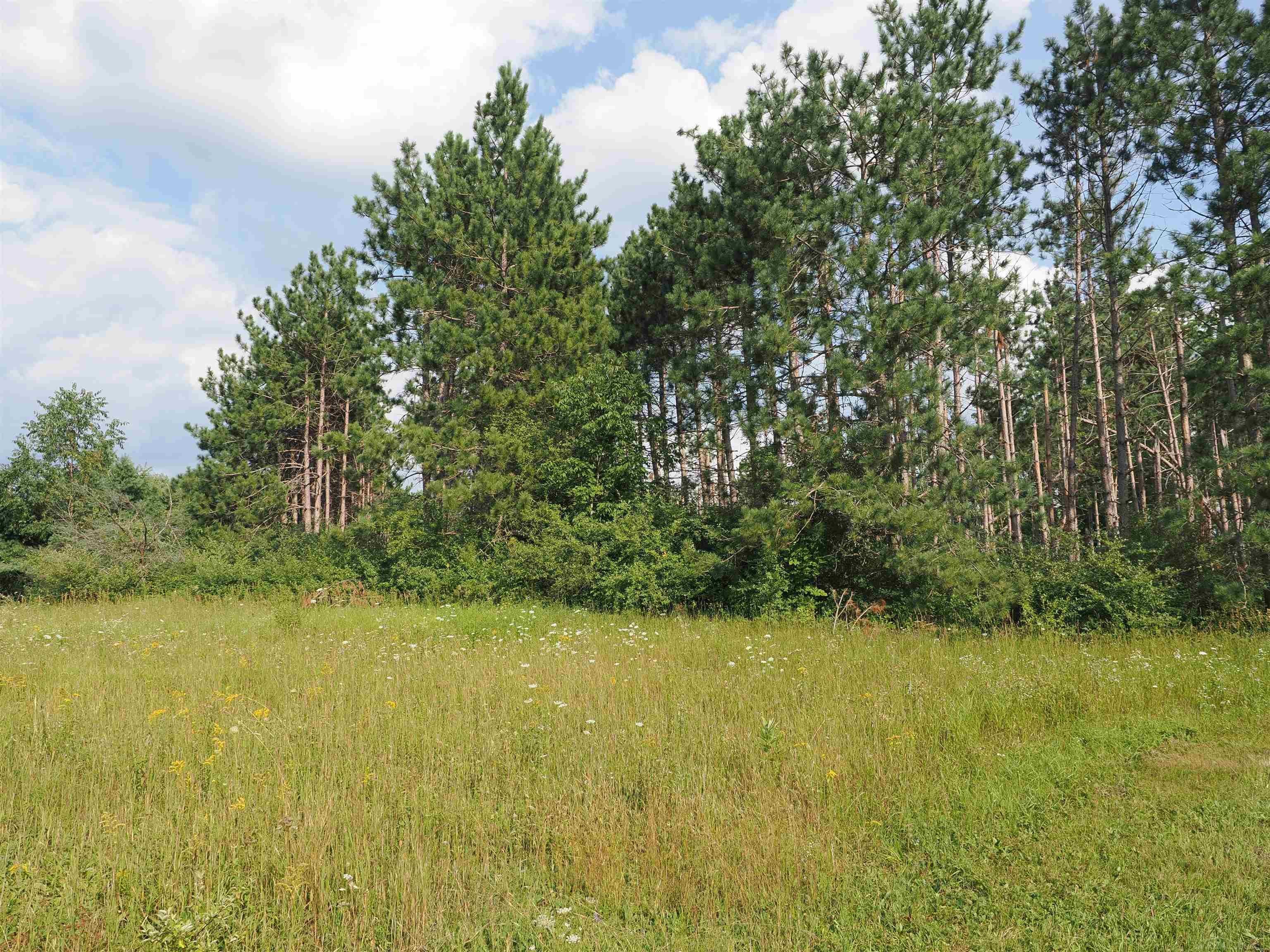 Xxx Emig Road Comins, MI 48619 - Photo 5 of 63 Gallery Image 5