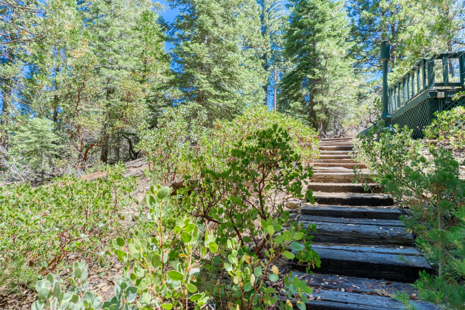 42025 Tollhouse Road Shaver Lake, CA 93664 - Photo 60 of 64 a view of a garden with statue
