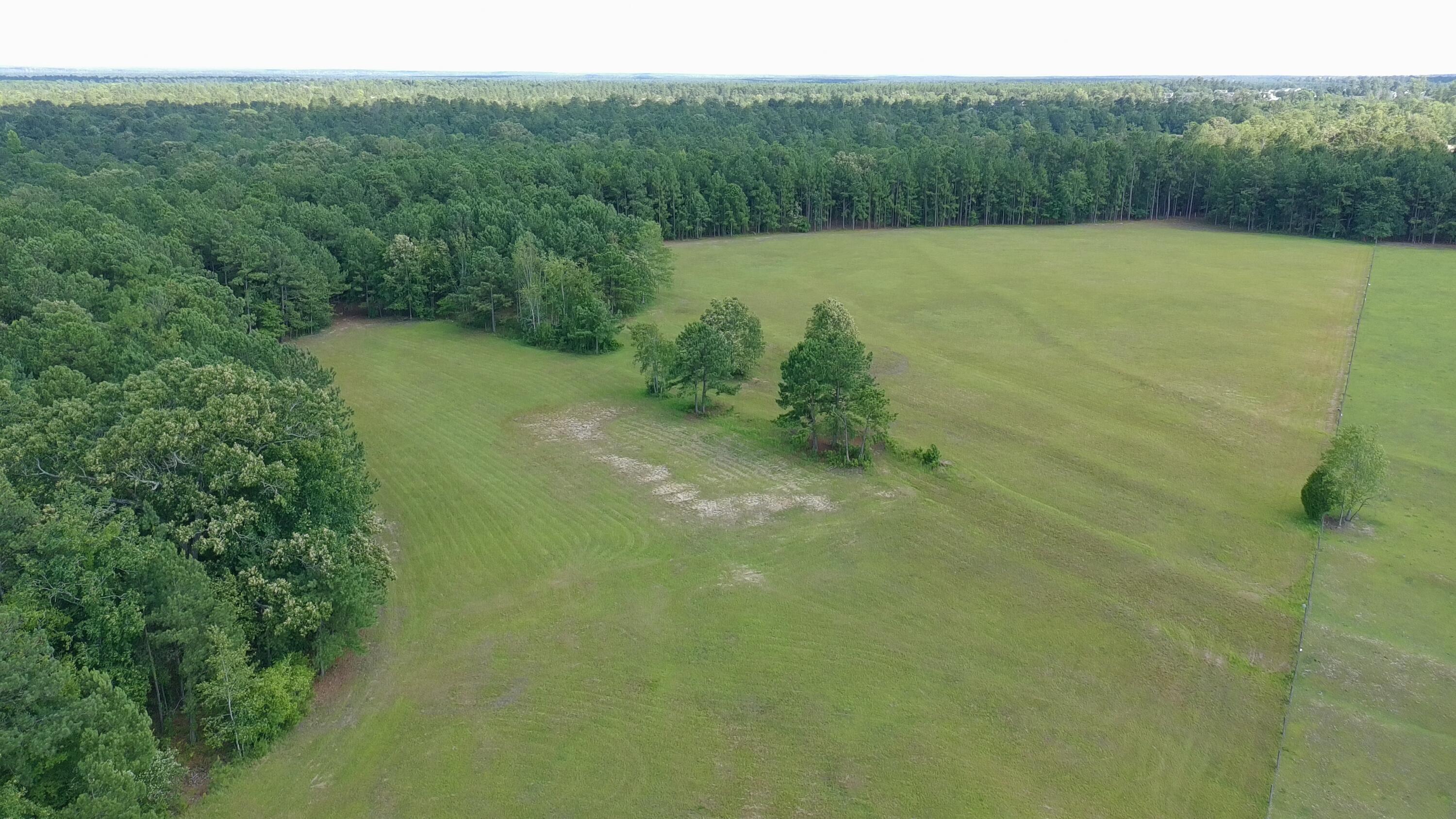 41-acres Whiskey Road Aiken, SC 29803 - Photo 5 of 44