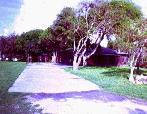 a view of yard