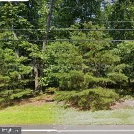 a view of a yard with plants