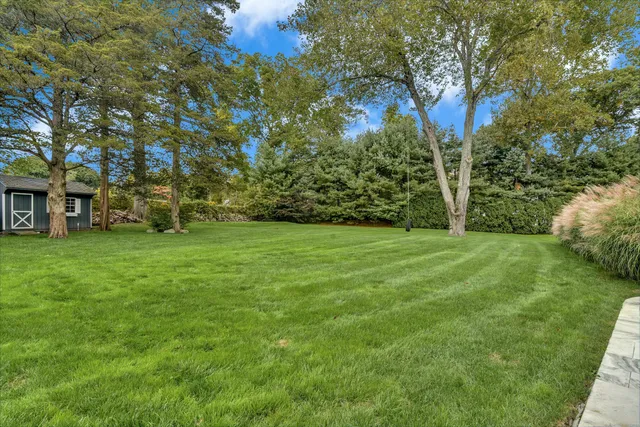 a view of a park with large trees