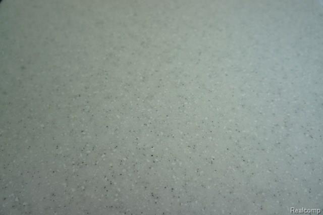 26 Amherst Road Pleasant Ridge, MI 48069 - Photo 11 of 43 Kit.counter top