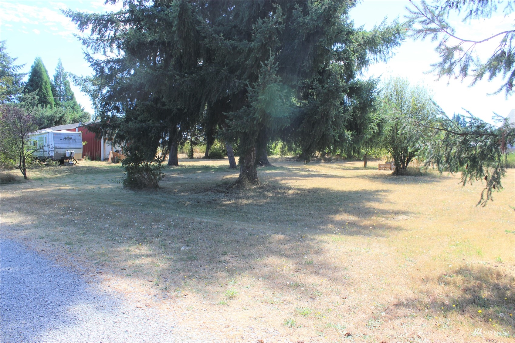 17739 Pendleton Street Southwest Rochester, WA 98579 - Photo 8 of 26 a view of a yard with trees