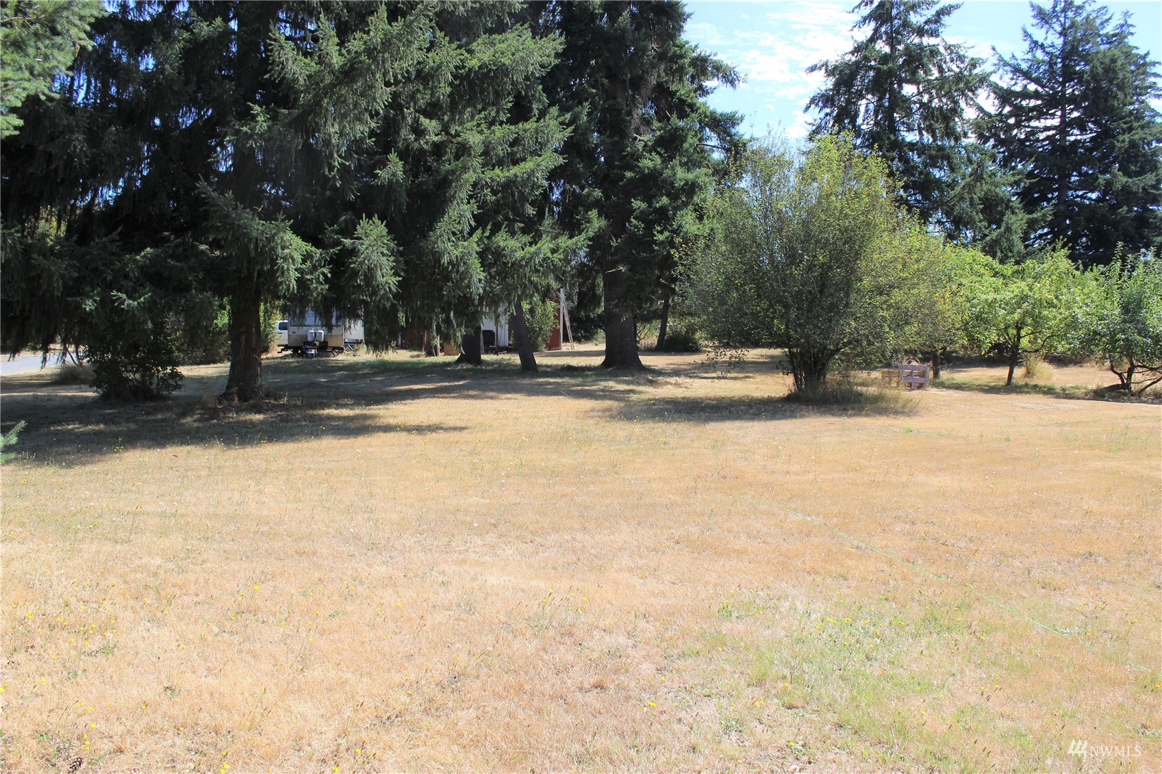 17739 Pendleton Street Southwest Rochester, WA 98579 - Photo 9 of 26 a view of a yard with a trees