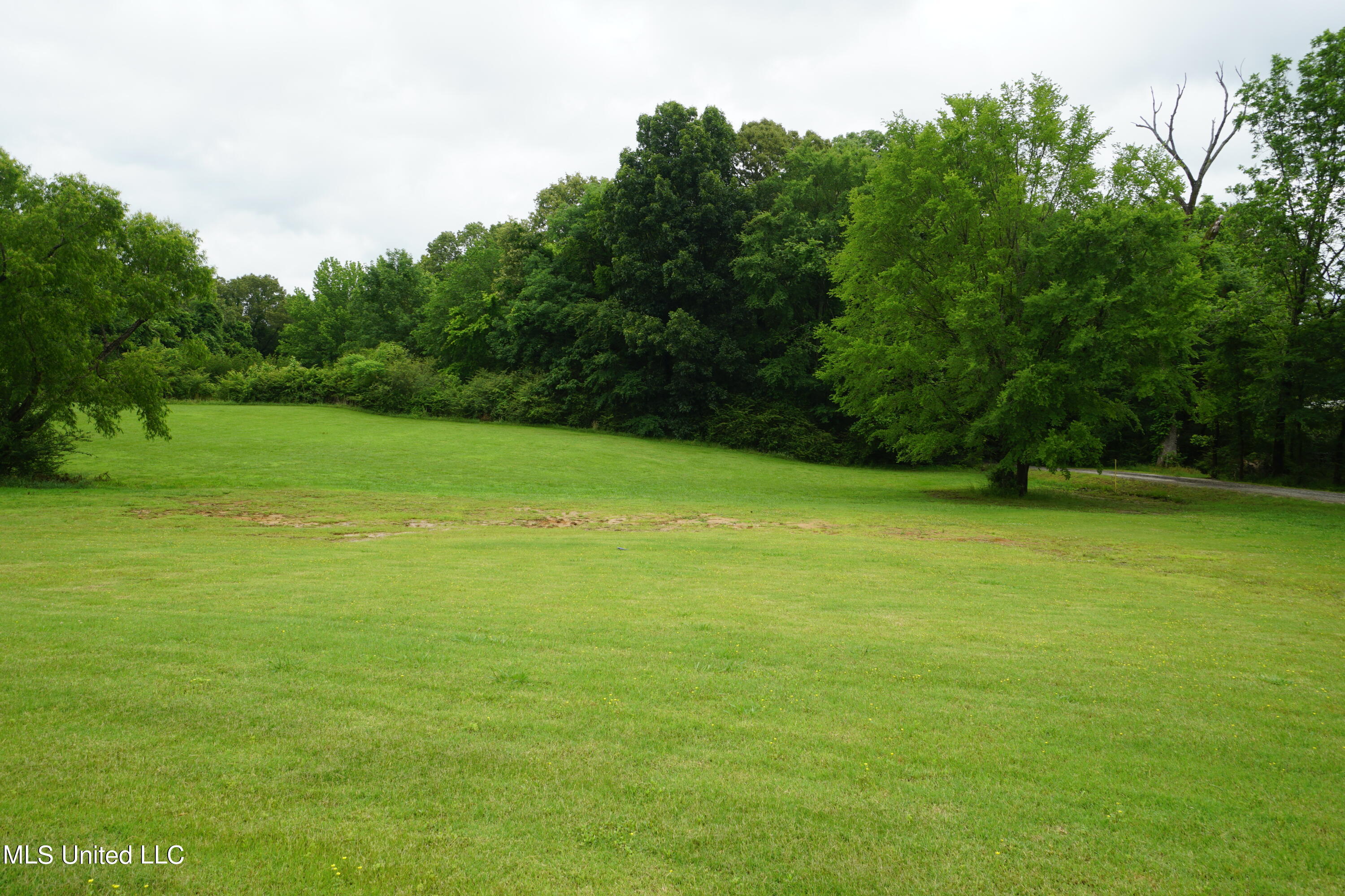3725 County Line Road Coldwater, MS 38618 - Photo 35 of 39 County Line 022