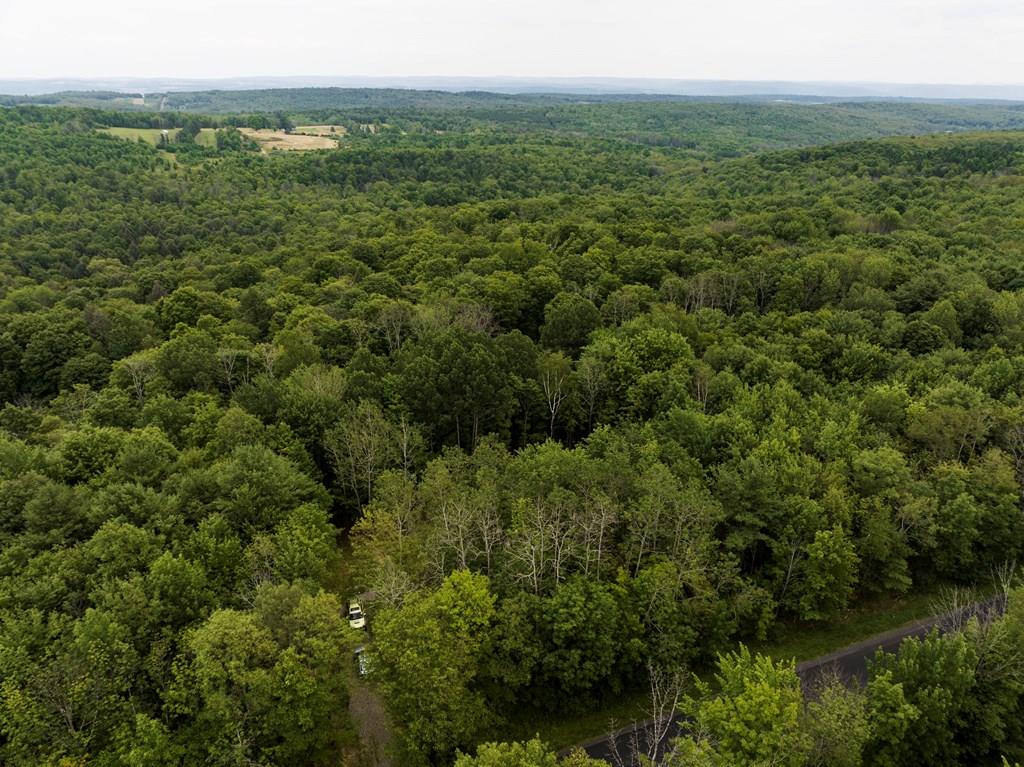 614 Sawdey Road Catlin, NY 14812 - Photo 1 of 1 Gallery Image 1