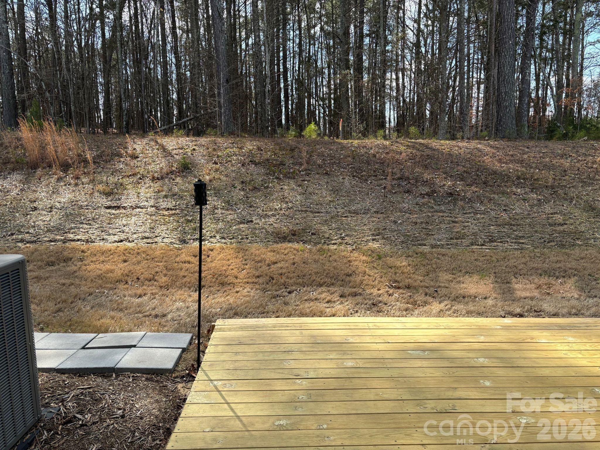 267 Brooks Springs Drive Fort Mill, SC 29708 - Photo 28 of 30