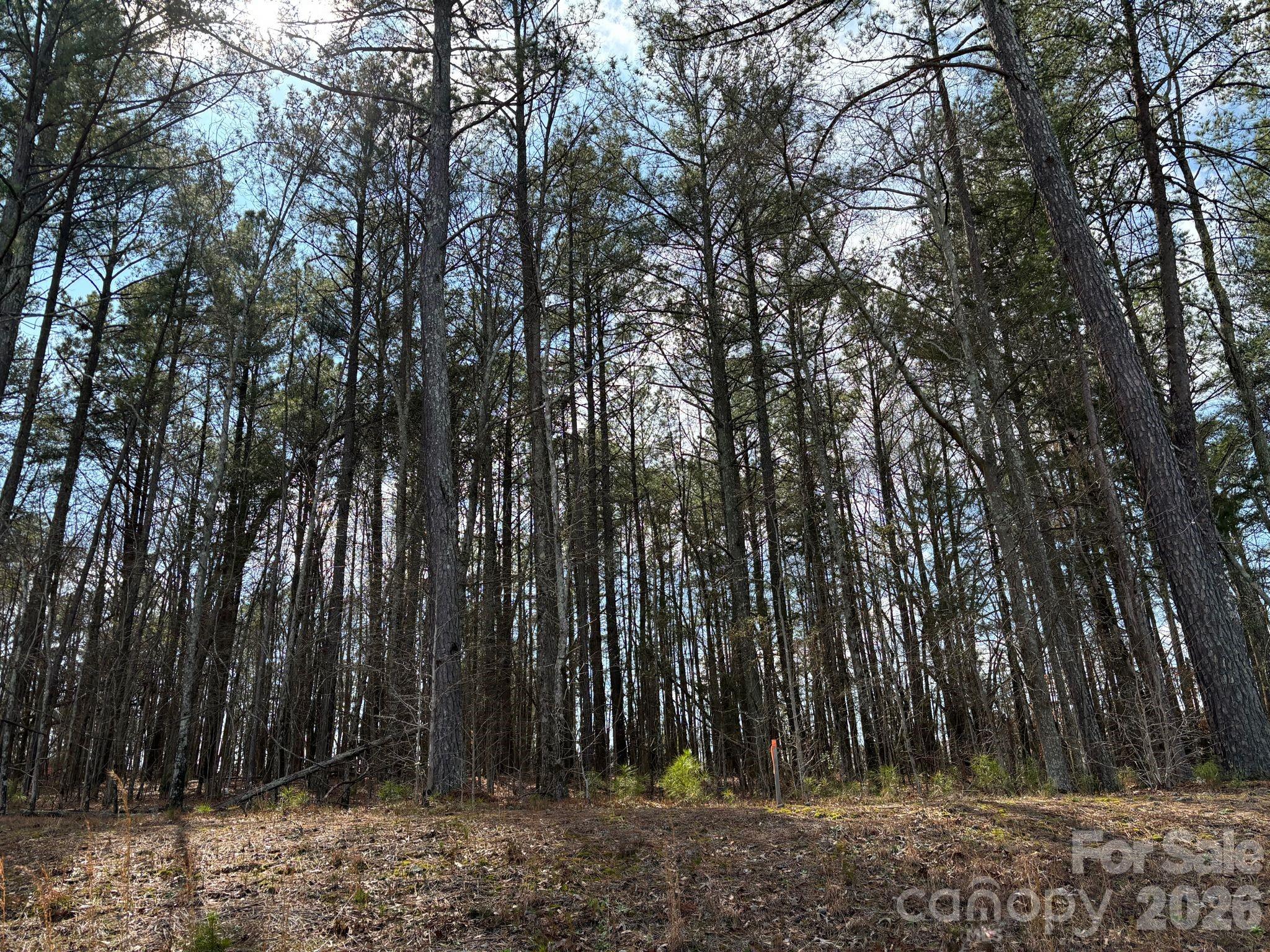 267 Brooks Springs Drive Fort Mill, SC 29708 - Photo 30 of 30