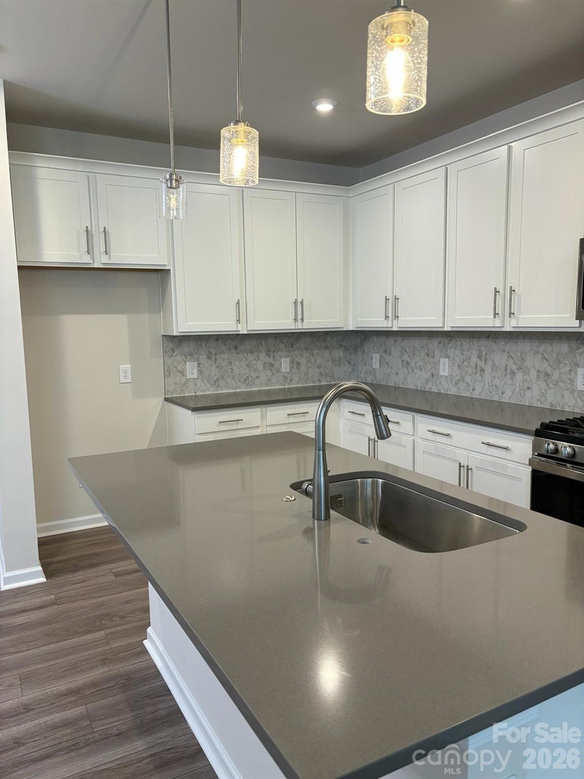 267 Brooks Springs Drive Fort Mill, SC 29708 - Photo 5 of 30