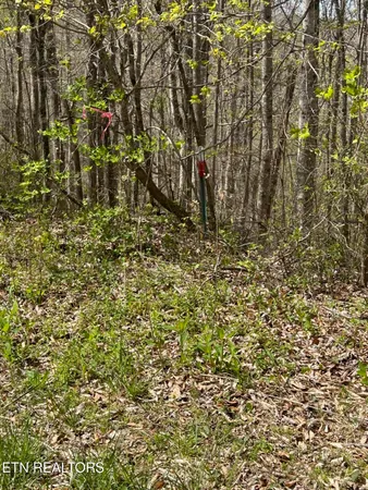 $100,000 | Lot 28 Jones Ridge Road, Speedwell, TN 37870