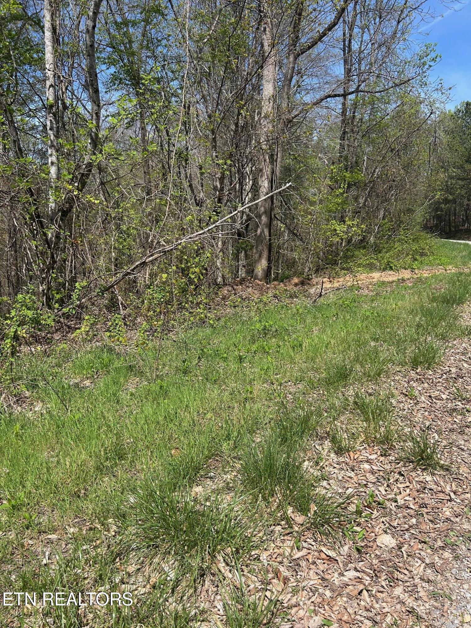 Lot 28 Jones Ridge Road Speedwell, TN 37870 - Photo 2 of 5 IMG_1664