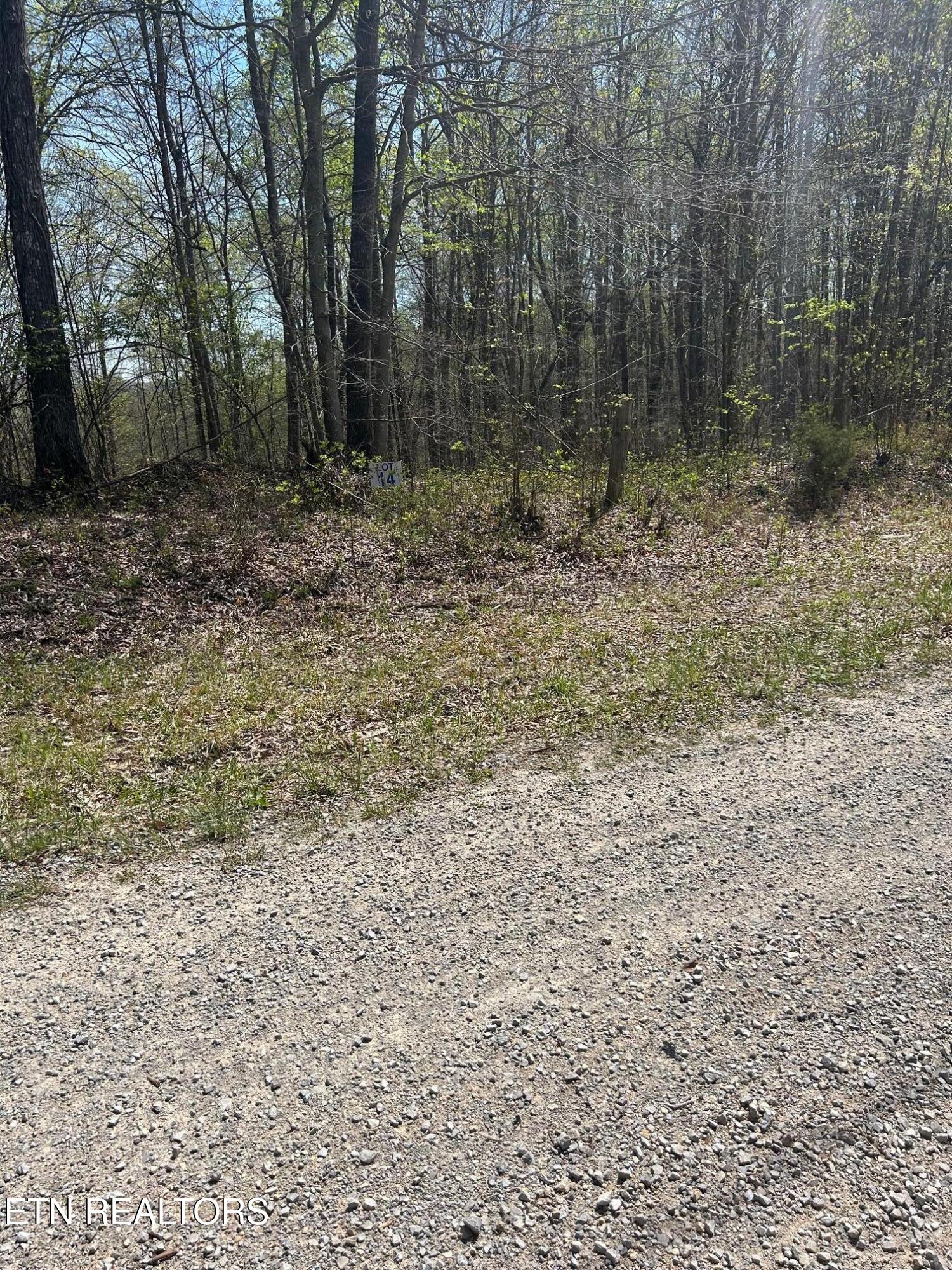 Lot 28 Jones Ridge Road Speedwell, TN 37870 - Photo 3 of 5 IMG_1665