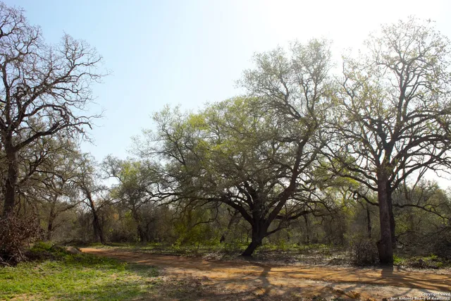 $124,700 | 607 Pr Sunset Vista Drive, Somerset, TX 78069