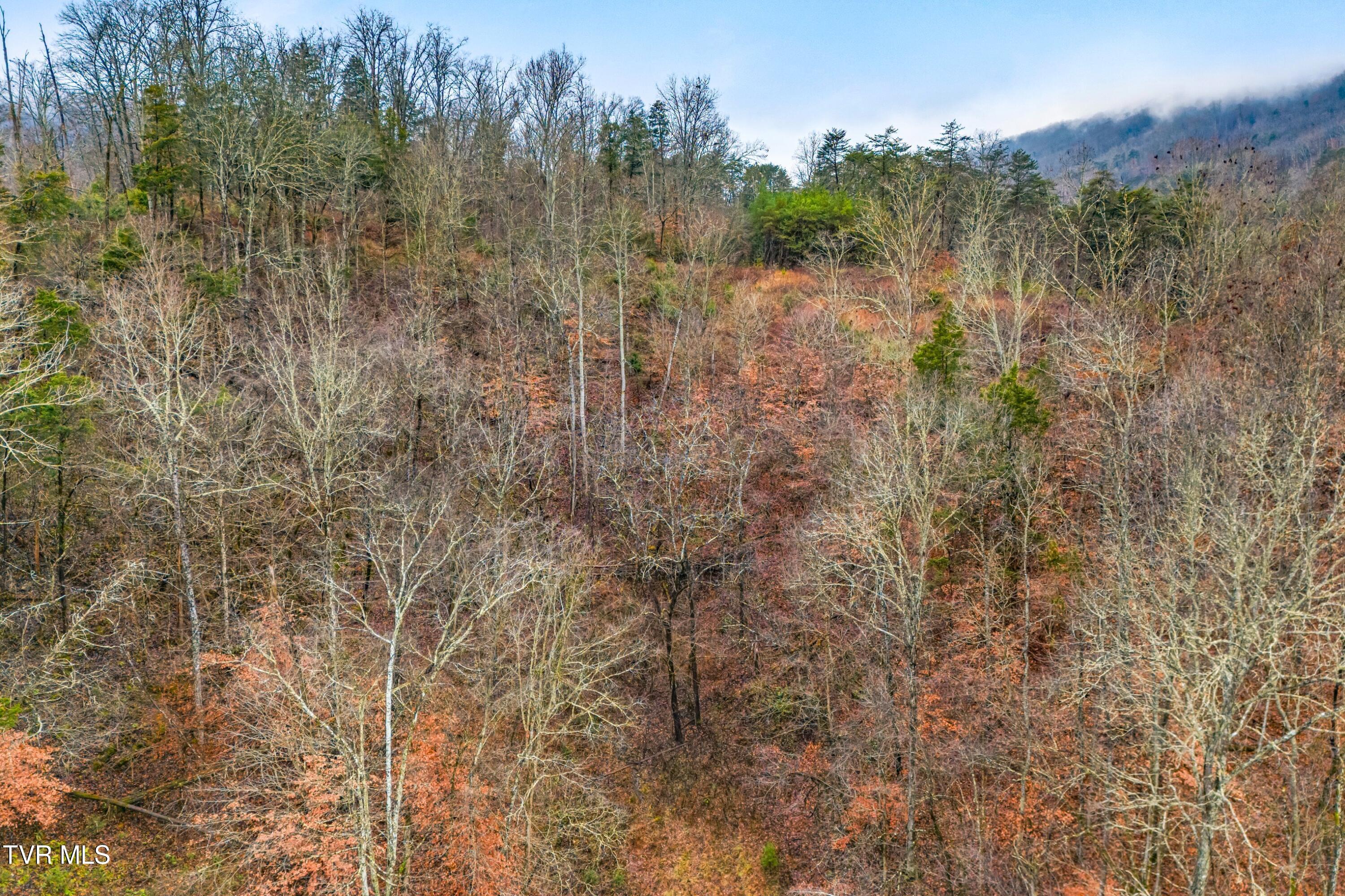 7593 Cracker Neck Road Washburn, TN 37888 - Photo 23 of 32 024-7593CrackerNeckRoad-Washburn-TN-3788