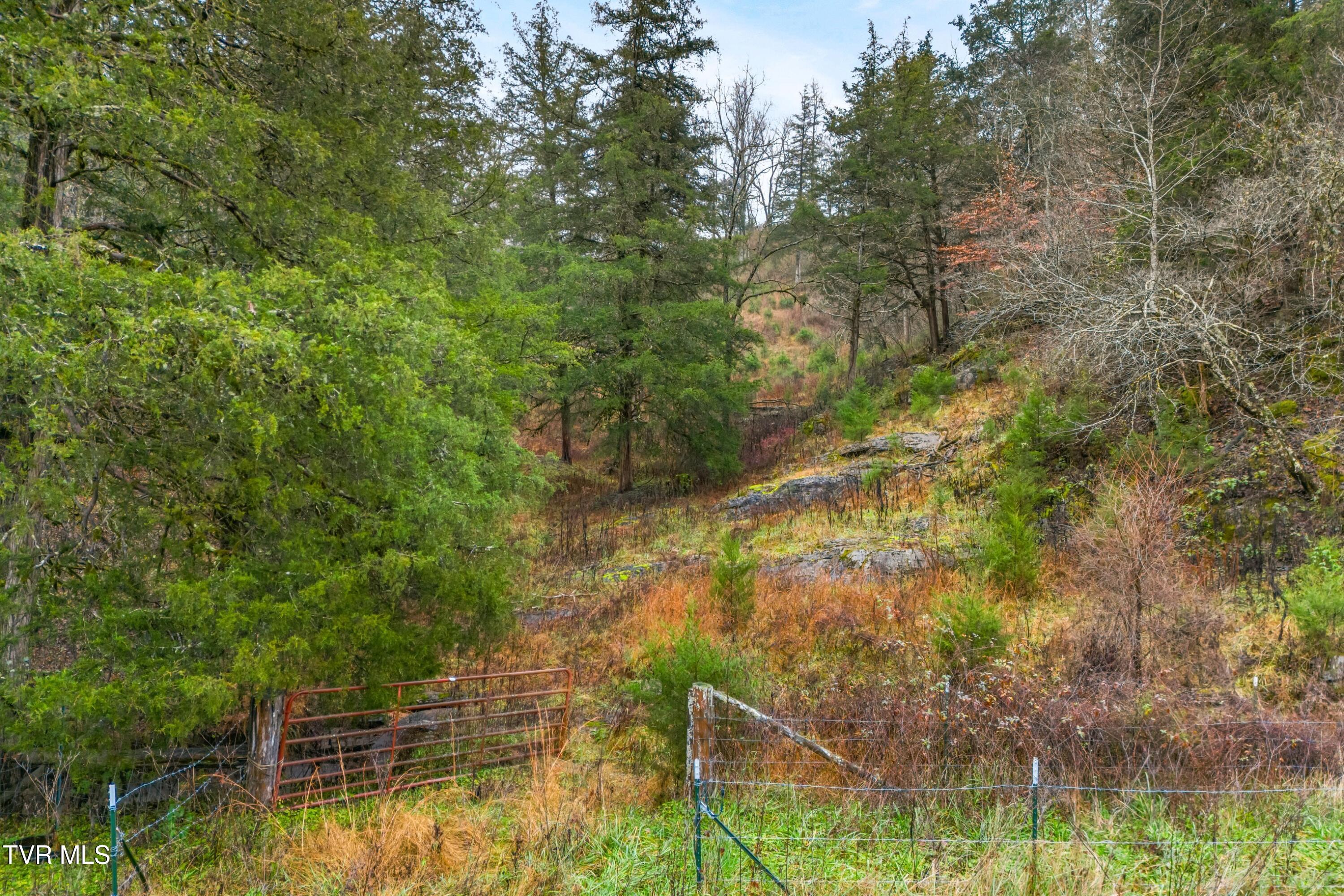 7593 Cracker Neck Road Washburn, TN 37888 - Photo 29 of 32 030-7593CrackerNeckRoad-Washburn-TN-3788