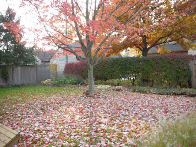 2713 Kent Road Columbus, OH 43221 - Photo 5 of 10