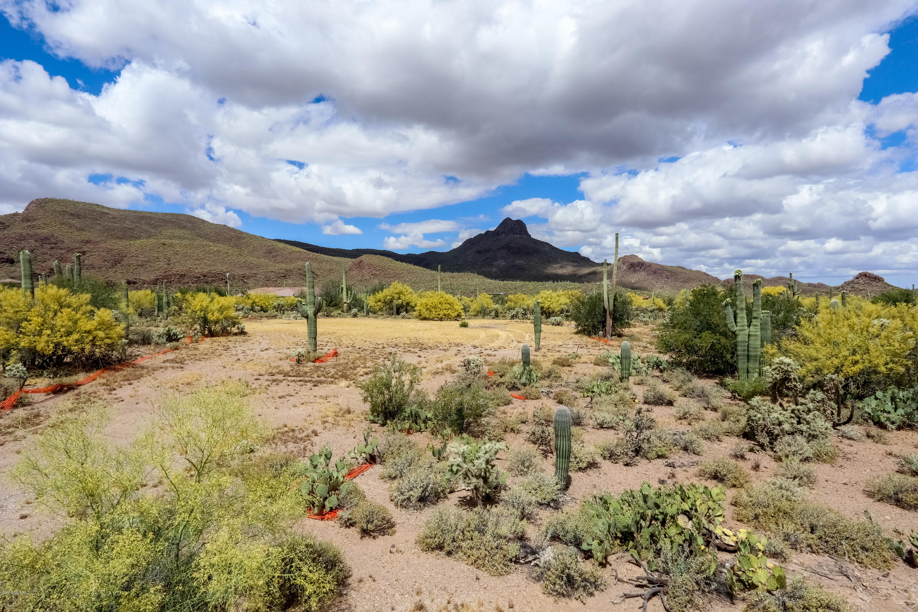 7474 West Ina Road Tucson, AZ 85743 - Photo 8 of 18 Gallery Image 8