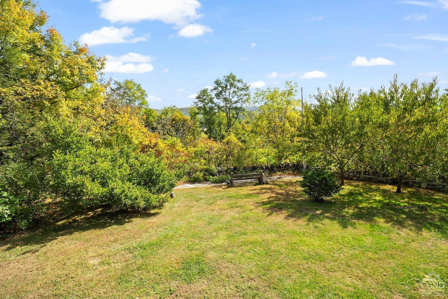 7951 Highway 22 Copake Falls, NY 12517 - Photo 27 of 40 a view of a yard with trees