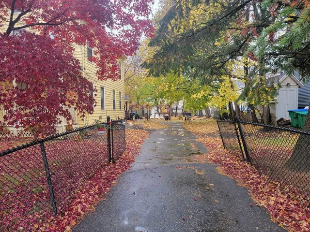 a view of a yard with plants and trees