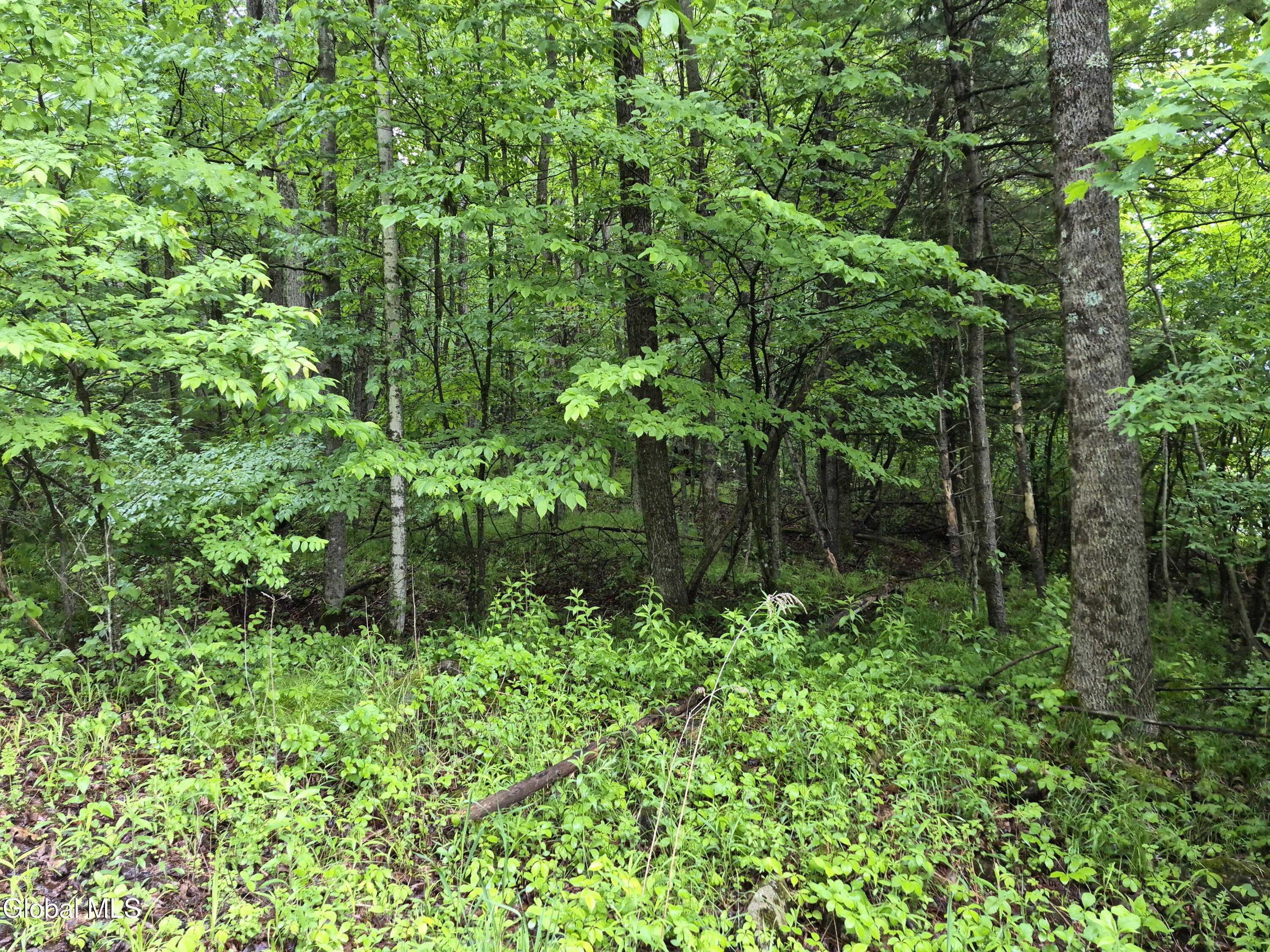 L1.2 Goodman Road Fort Ann, NY 12827 - Photo 15 of 20 north side
