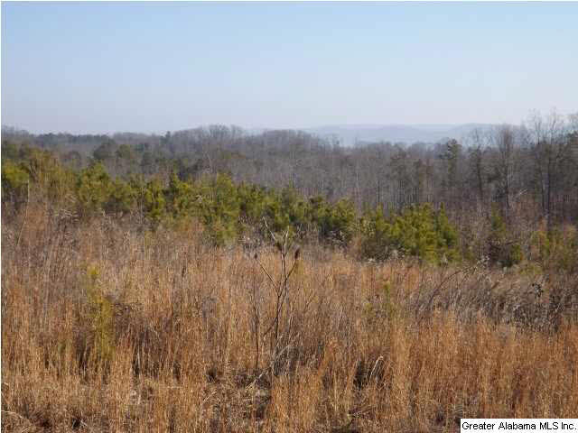 286 County Road, Unit 85 Collinsville, AL 35961 - Photo 8 of 23