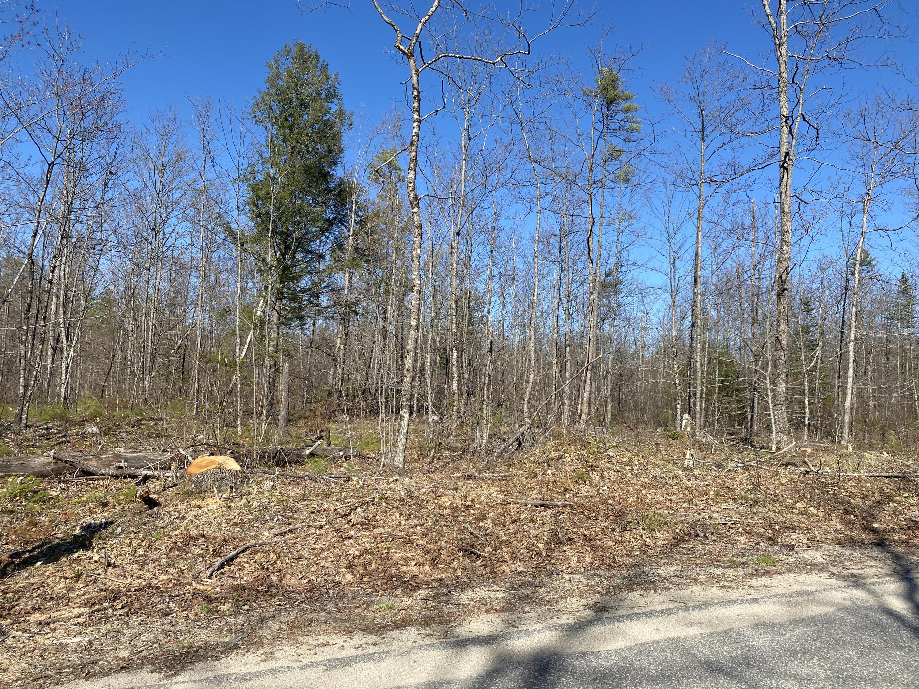Lot 2 Sand Pond Road East Baldwin, ME 04024 - Photo 12 of 12 EA6AC081-62BF-40A5-A3B8-2A571D557E02
