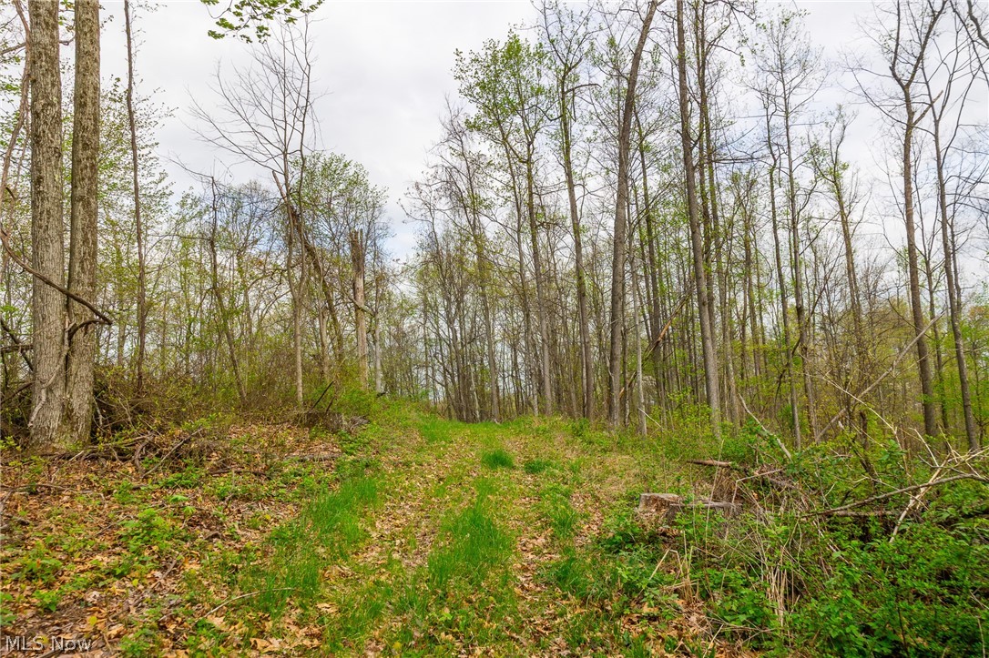 2115 Goss Fork Road, Unit 2 Whipple, OH 45788 - Photo 9 of 23