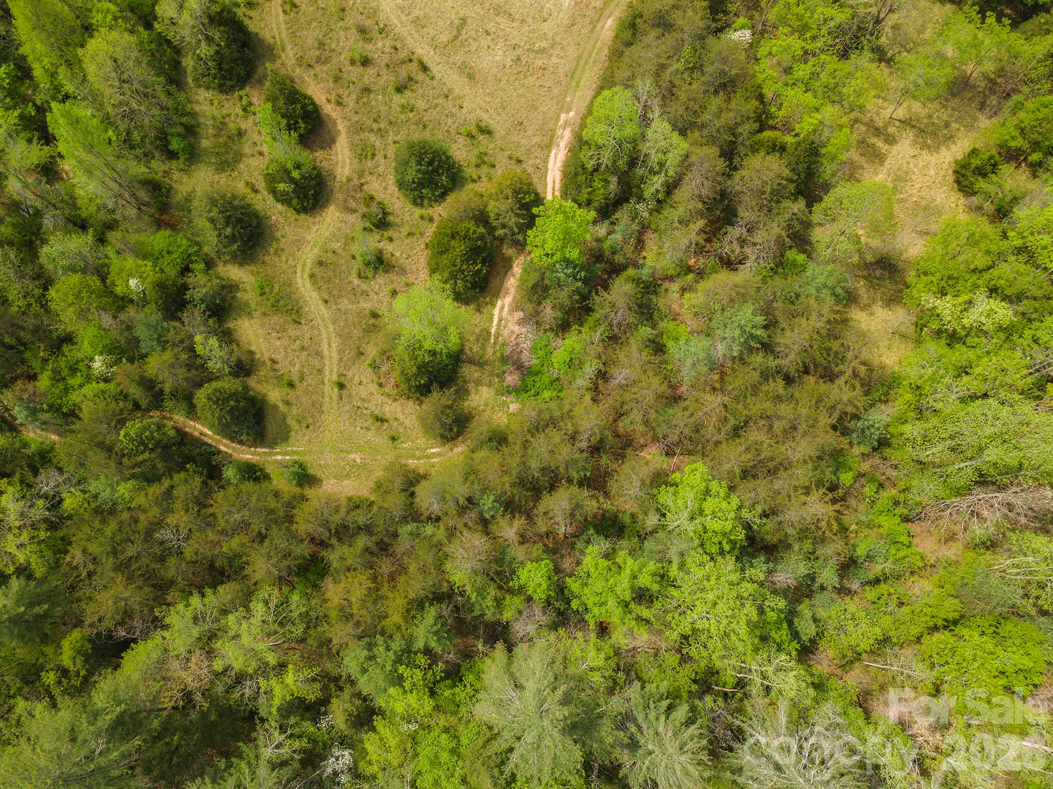 0 Henderson Mill Road Morganton, NC 28655 - Photo 11 of 32