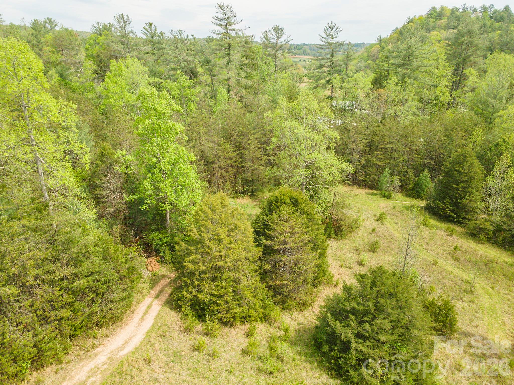 0 Henderson Mill Road Morganton, NC 28655 - Photo 16 of 32 a view of a large yard with lots of trees