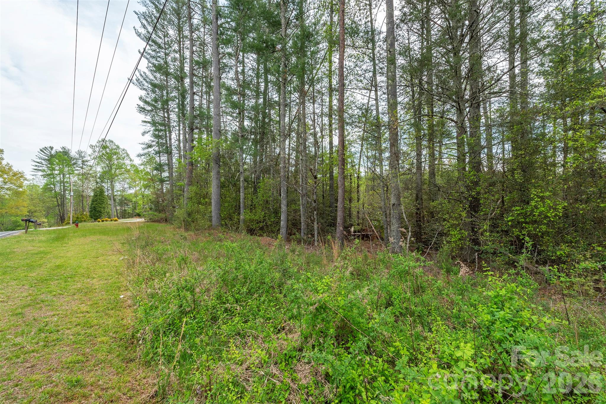 0 Henderson Mill Road Morganton, NC 28655 - Photo 17 of 32 a view of backyard with green space