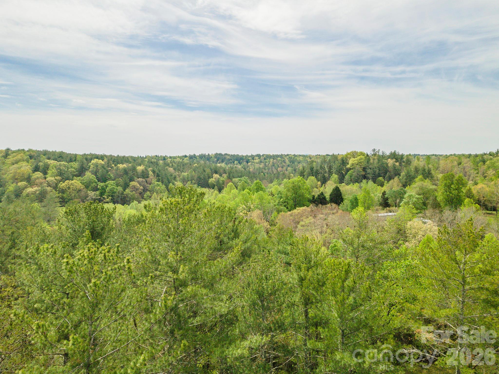 0 Henderson Mill Road Morganton, NC 28655 - Photo 26 of 32