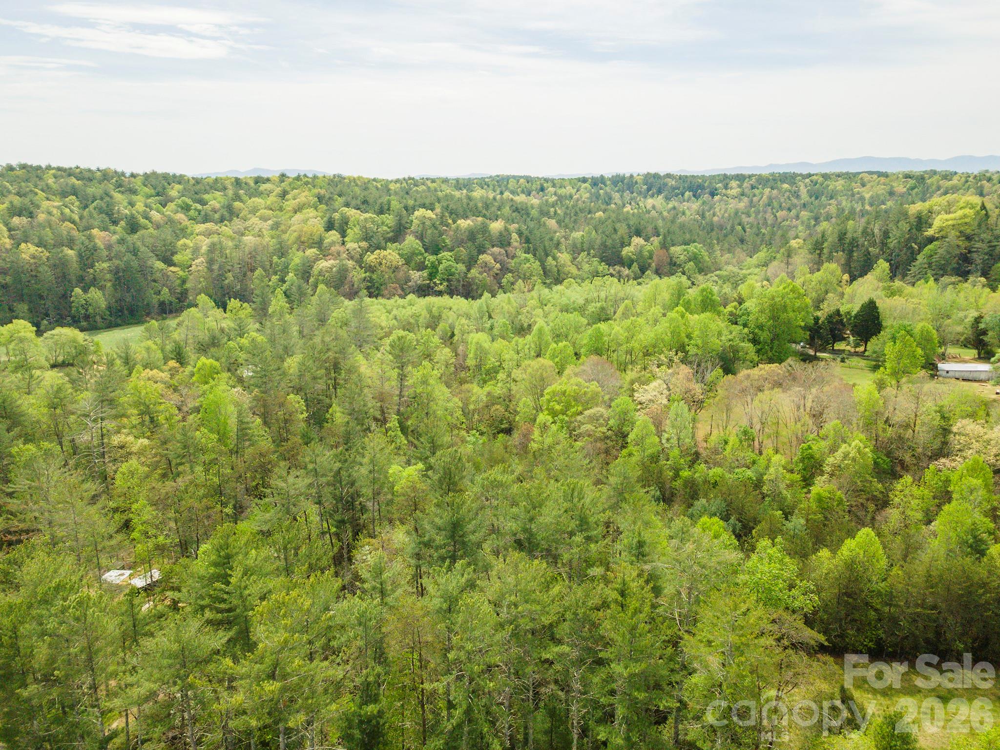 0 Henderson Mill Road Morganton, NC 28655 - Photo 27 of 32 a view of a green field with an ocean in the background