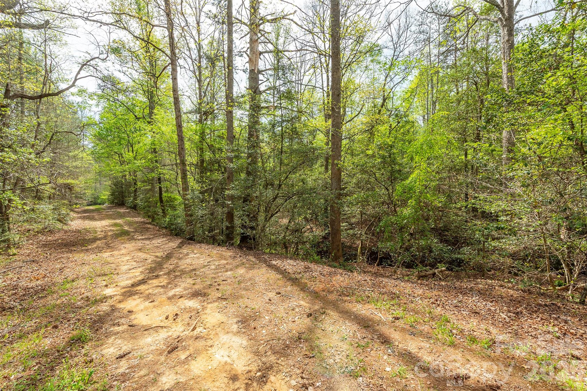 0 Henderson Mill Road Morganton, NC 28655 - Photo 3 of 32 a view of a yard with trees