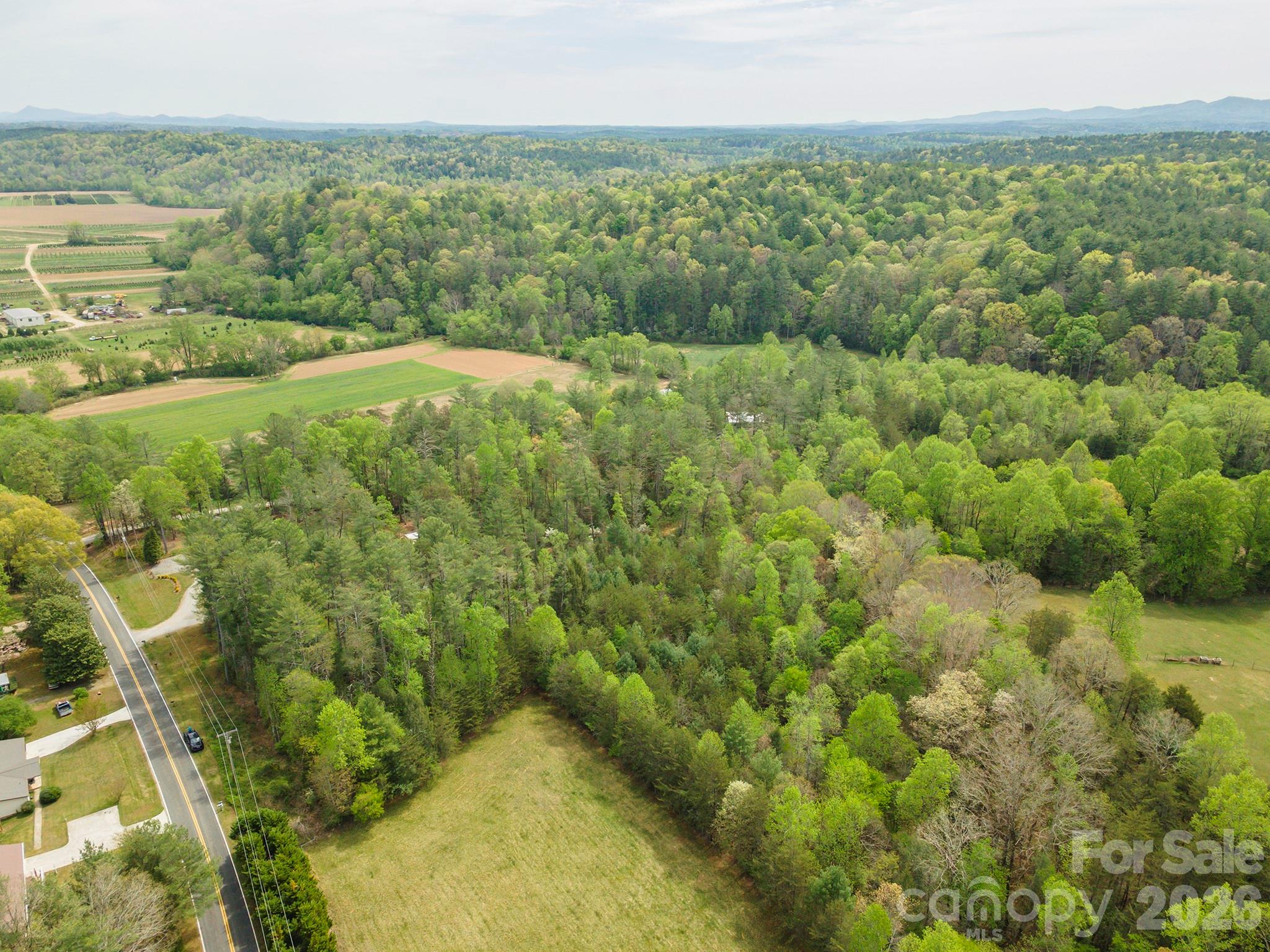 0 Henderson Mill Road Morganton, NC 28655 - Photo 31 of 32 a view of a city with lush green forest