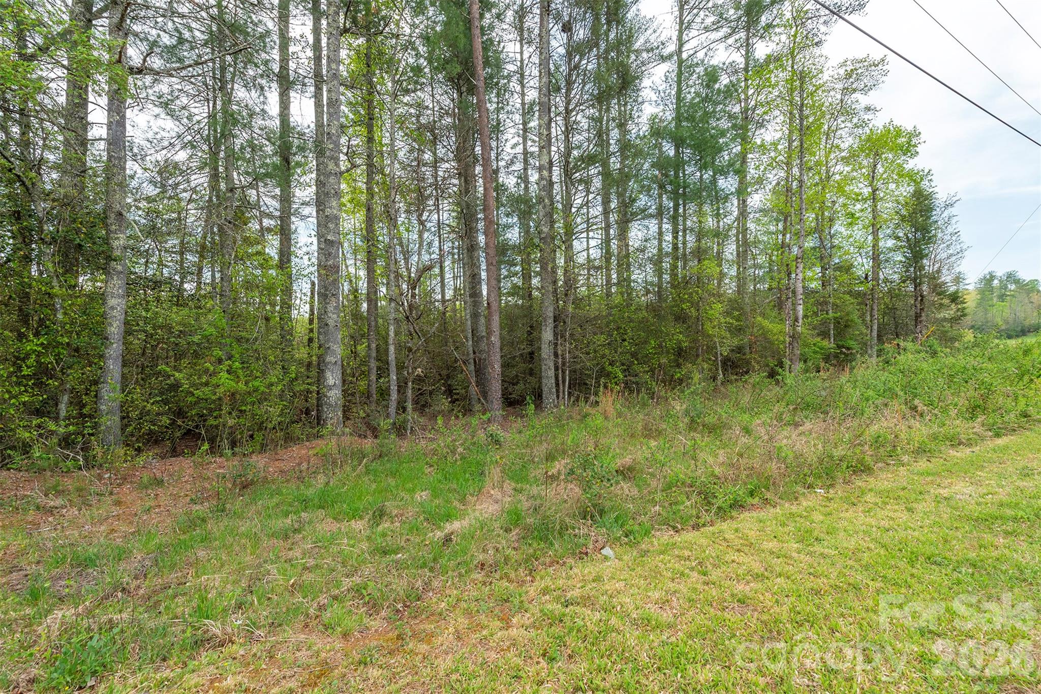 0 Henderson Mill Road Morganton, NC 28655 - Photo 5 of 32 a view of outdoor space and green space