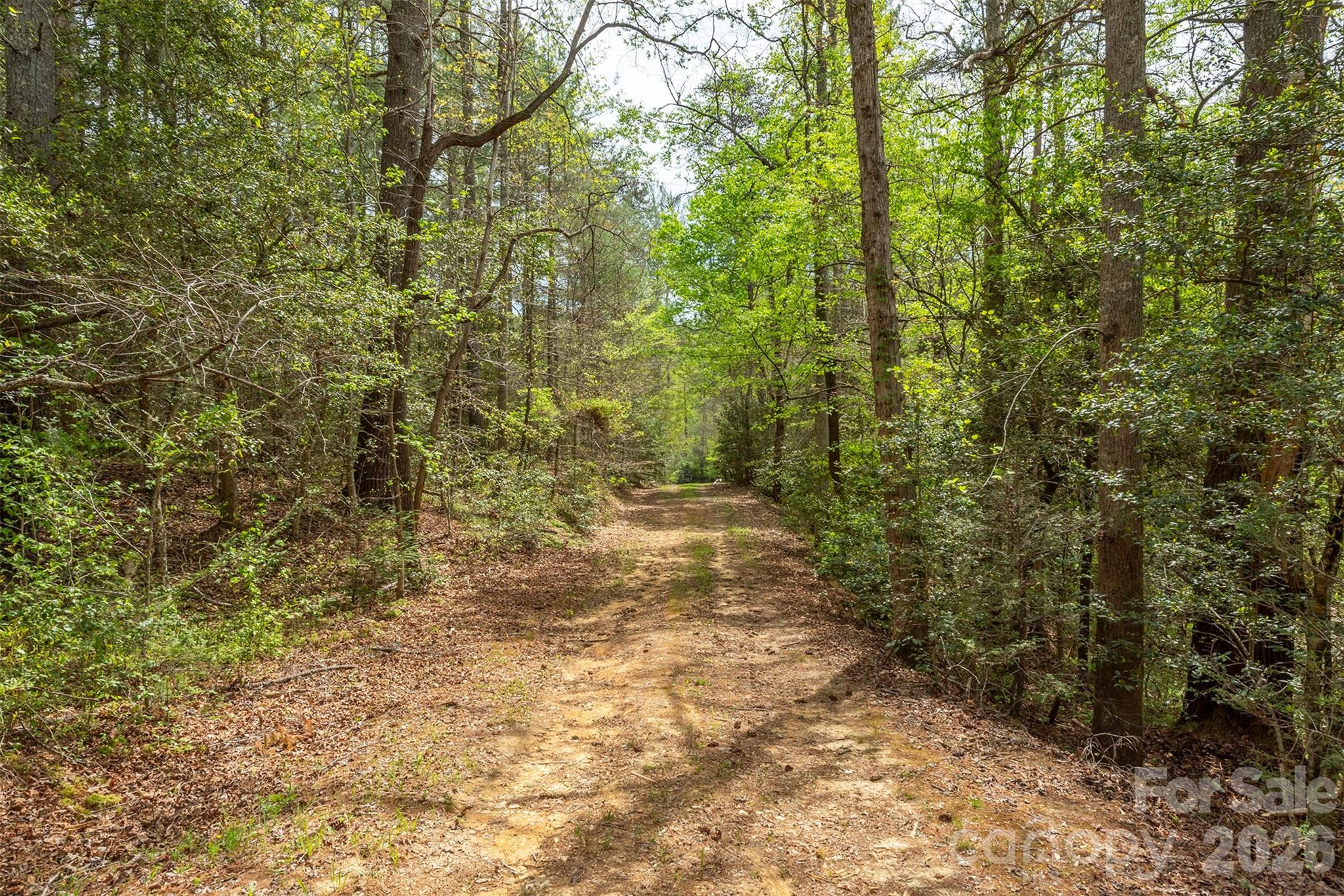 0 Henderson Mill Road Morganton, NC 28655 - Photo 6 of 32 a view of a yard with plants and large trees