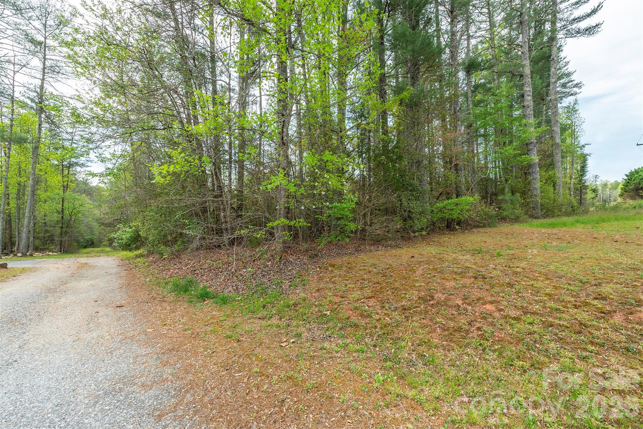 0 Henderson Mill Road Morganton, NC 28655 - Photo 10 of 32 a view of a yard with trees in the background