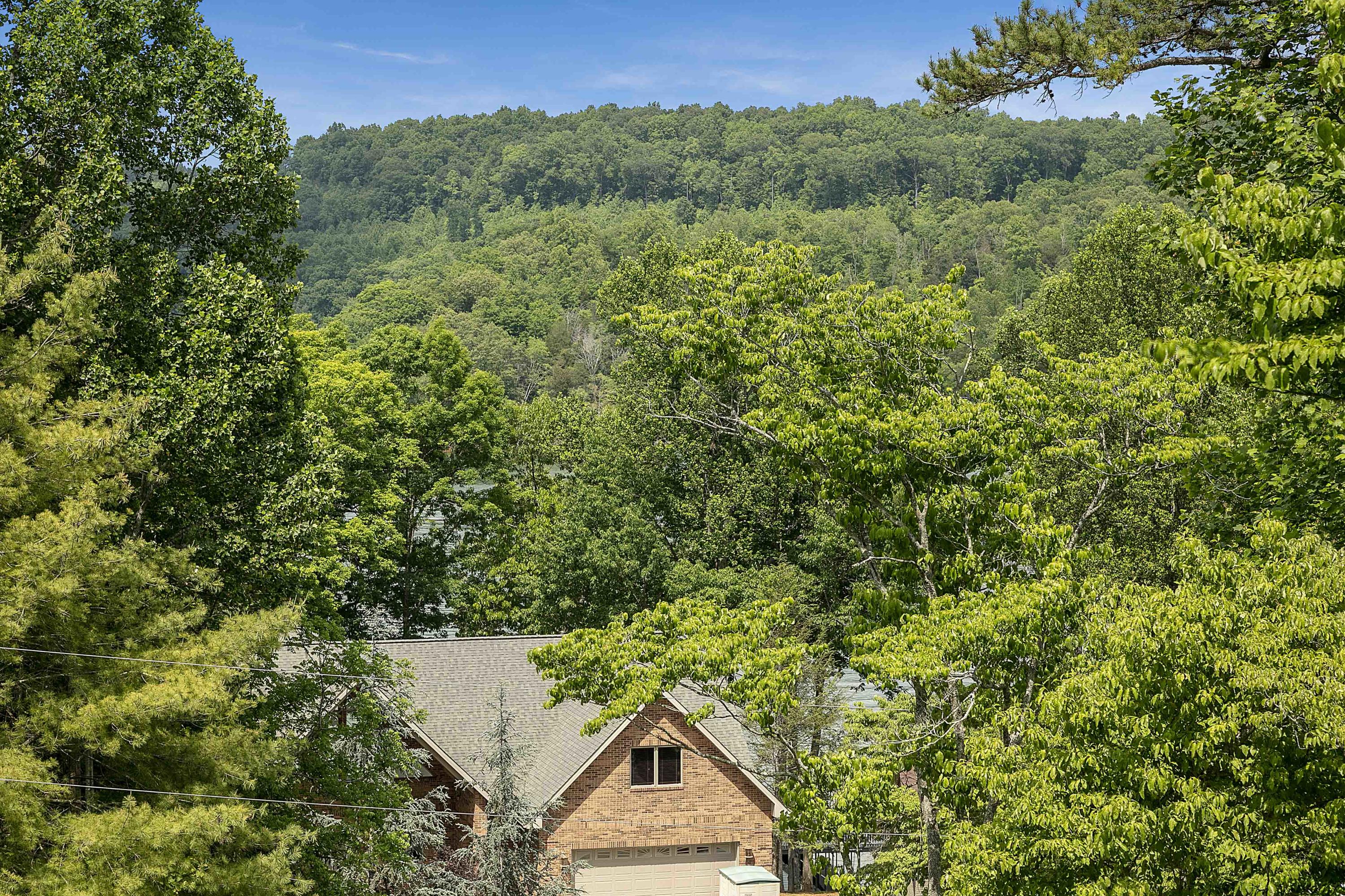 1435 East Norris Point Road La Follette, TN 37766 - Photo 24 of 32 21