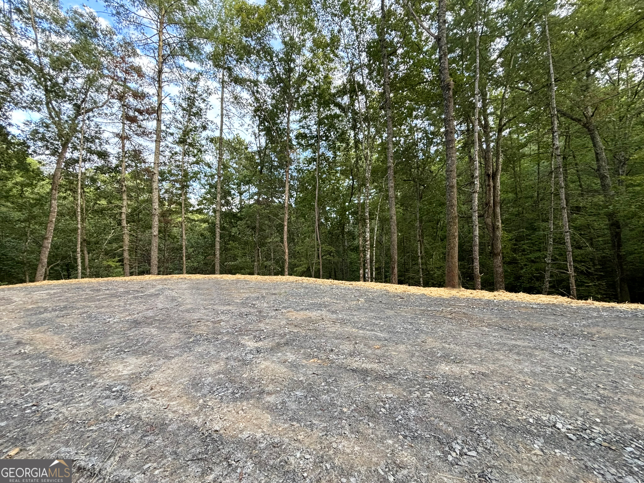 396 Mt Springer Road Ellijay, GA 30540 - Photo 32 of 50