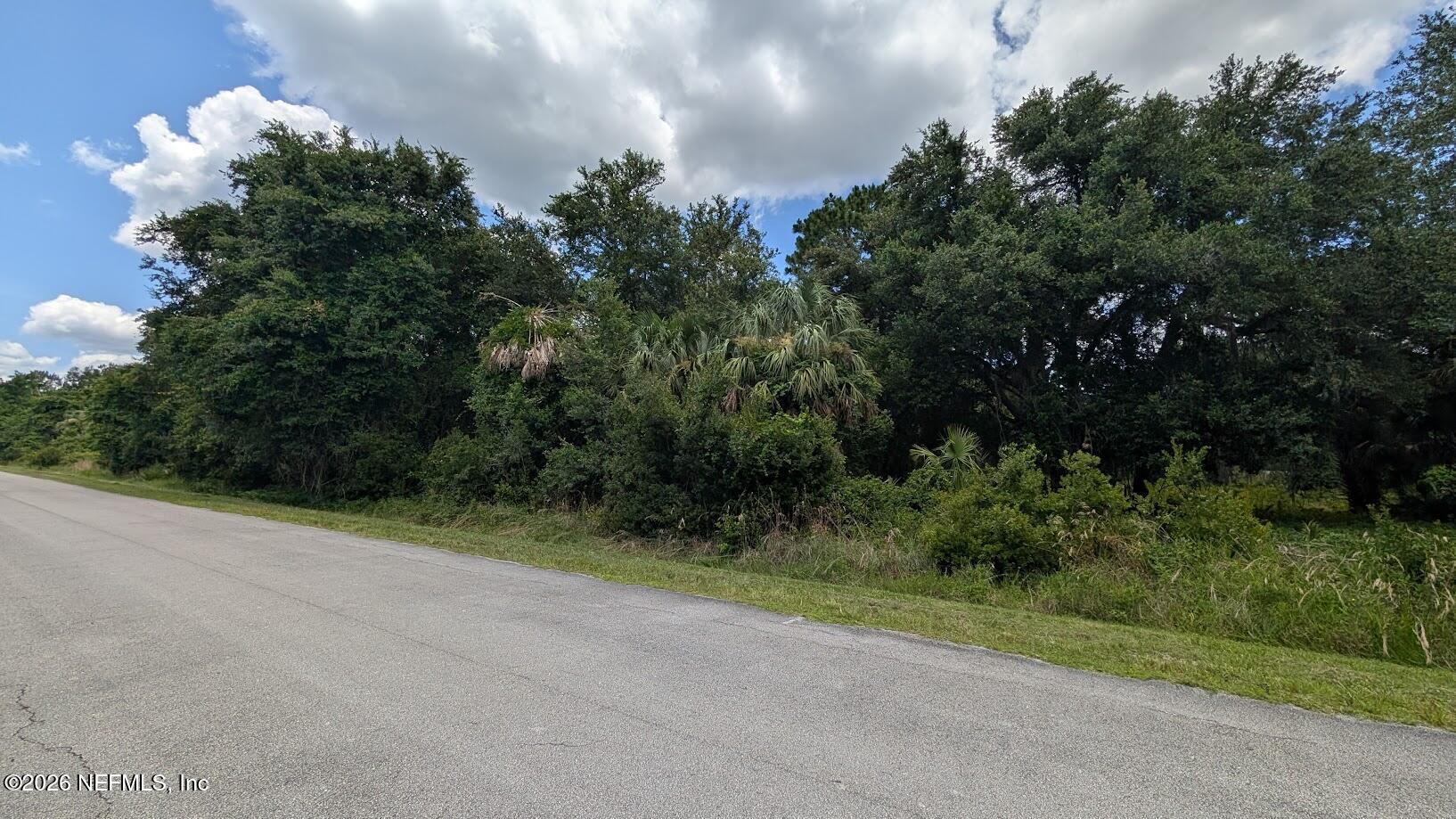 710 Paradise Boulevard Georgetown, FL 32139 - Photo 2 of 14 2