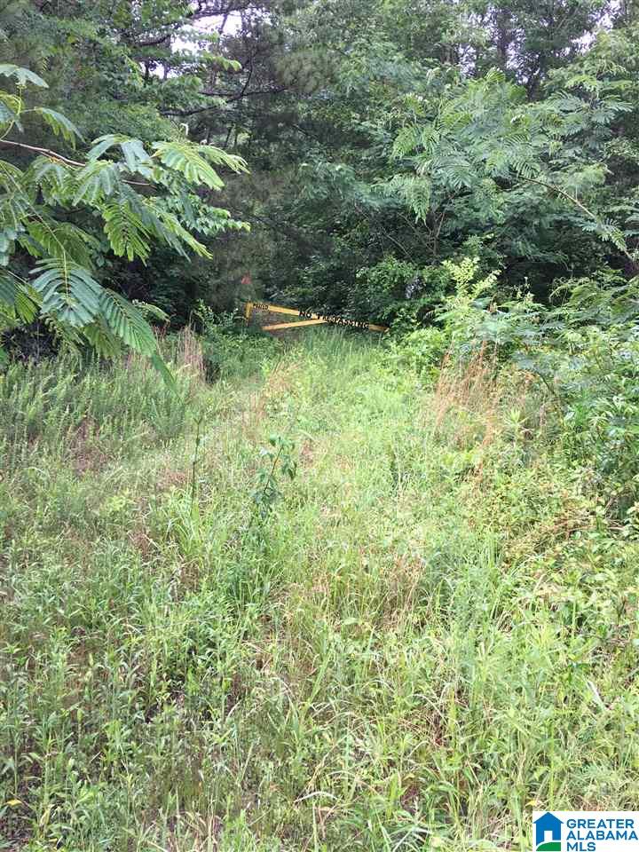 1770 Warrior Trafford Road Warrior, AL 35180 - Photo 3 of 3