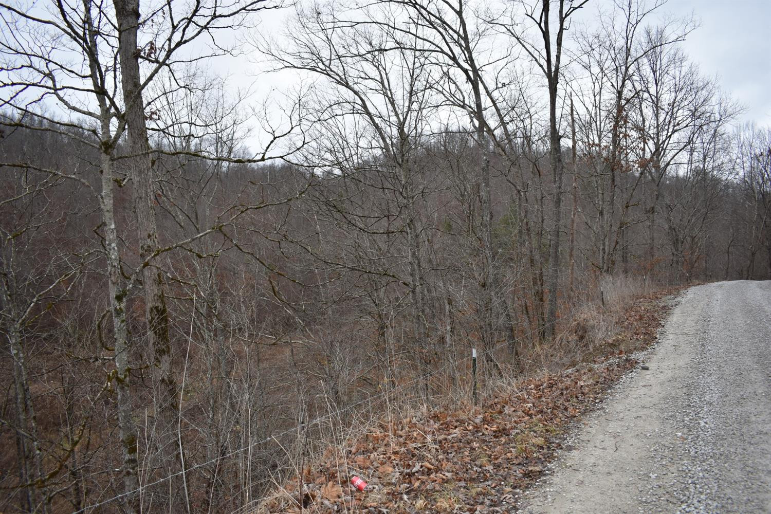 9999 East Crawfish Road Manchester, KY 40962 - Photo 15 of 52 Photo 15