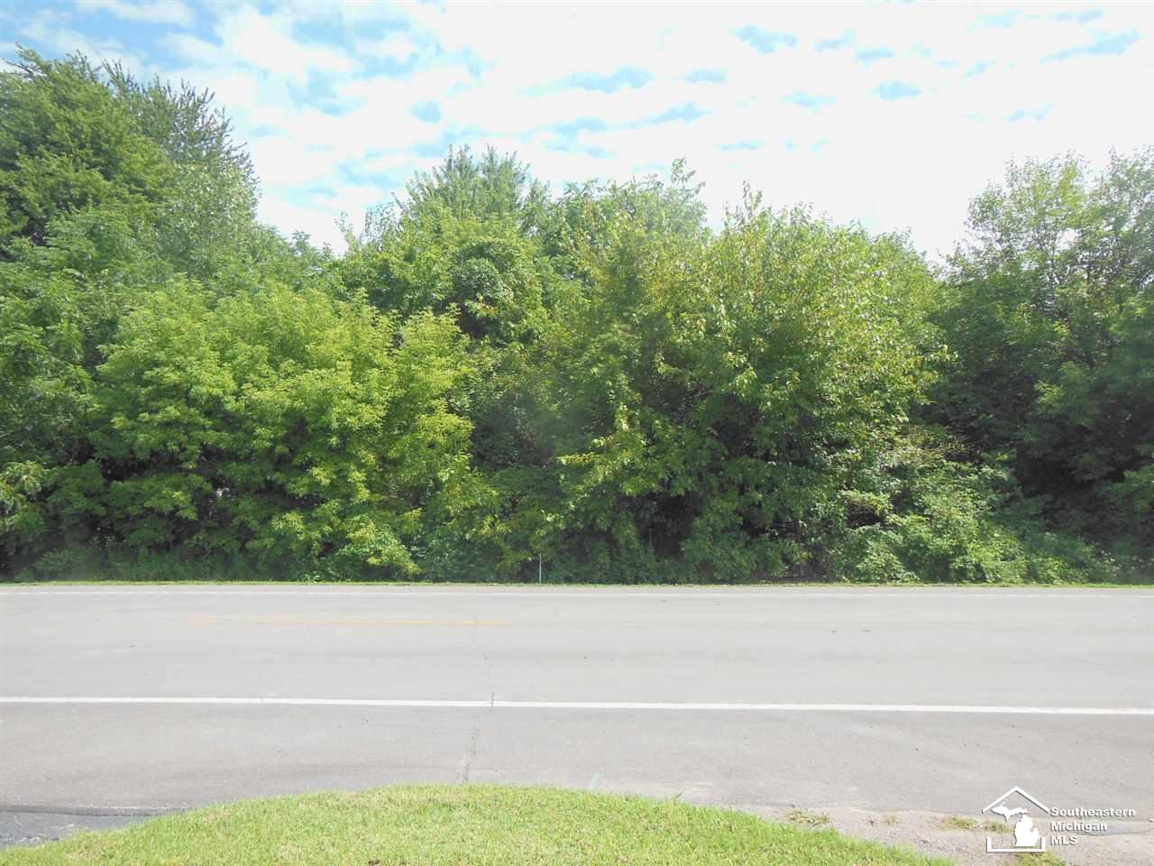 Parcel B Parcel B Lewis Temperance, MI 48182 - Photo 2 of 2