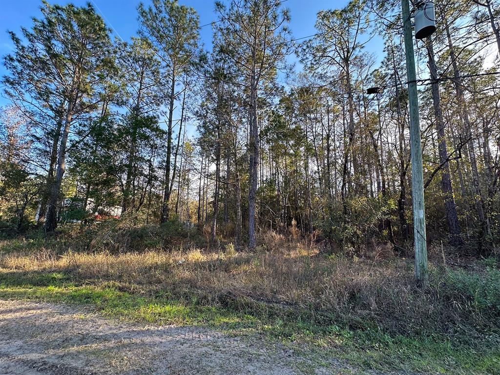 428 Division Street Hastings, FL 32145 - Photo 11 of 22