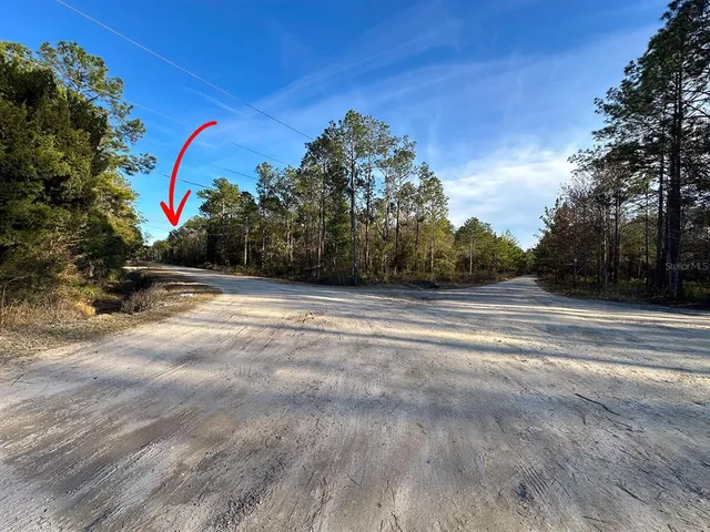 a view of backyard with tree