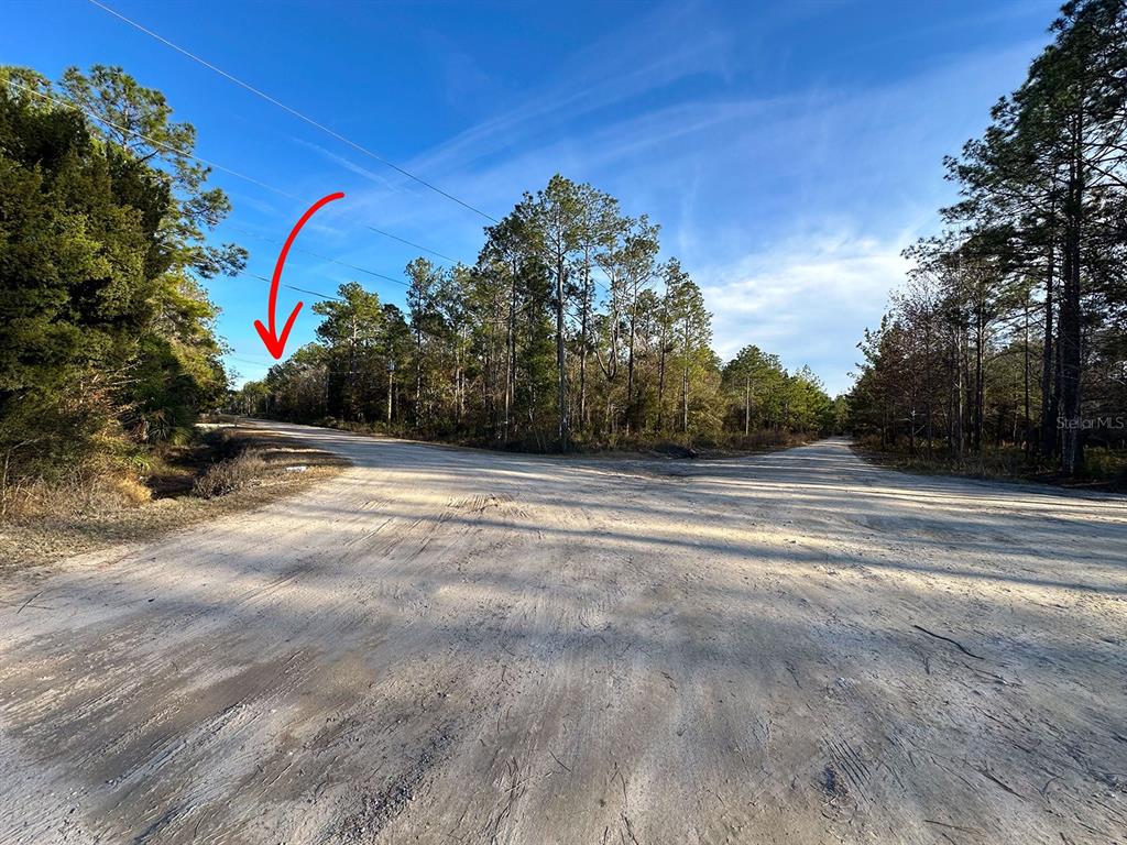 428 Division Street Hastings, FL 32145 - Photo 14 of 22