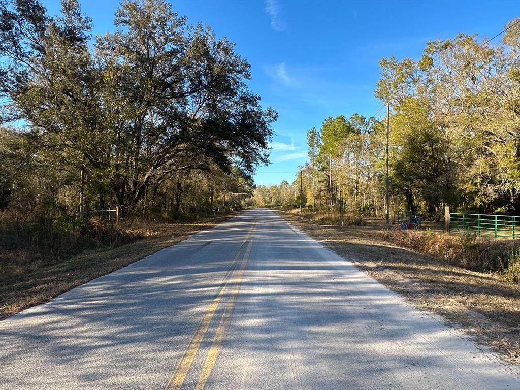 428 Division Street Hastings, FL 32145 - Photo 17 of 22