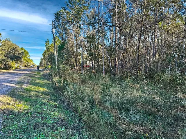 a view of path along with trees